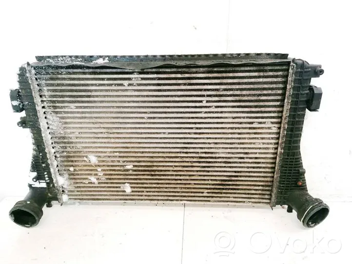 Volkswagen Sharan Radiatore intercooler 1K0145803A