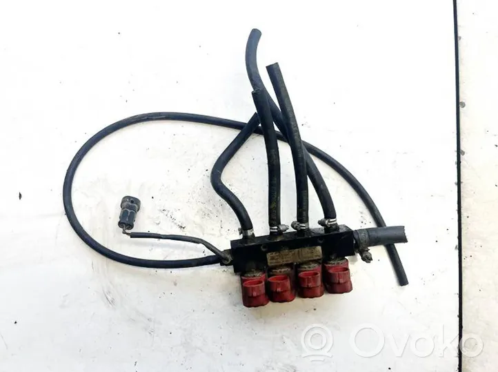 Hyundai Santa Fe Injecteur GPL 110r000040