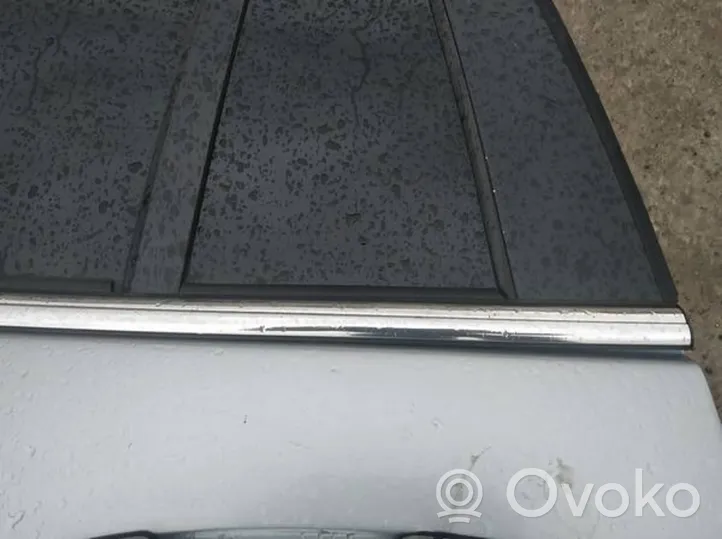 Chrysler Pacifica Listwa / Uszczelka szyby drzwi tylnych 
