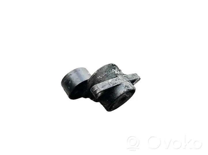 Opel Movano A Tendicinghia generatore/alternatore 