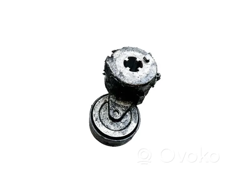 Audi A6 S6 C6 4F Generator/alternator belt tensioner 