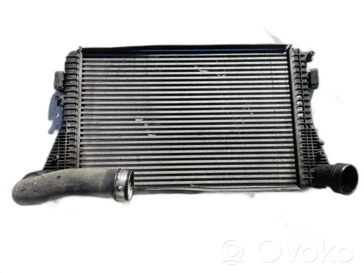 Volkswagen Touran I Chłodnica powietrza doładowującego / Intercooler 