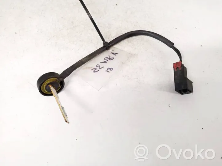 Citroen Jumper Sensor 