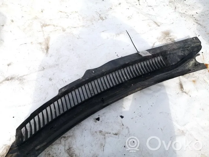 Chrysler 300M Wiper trim 