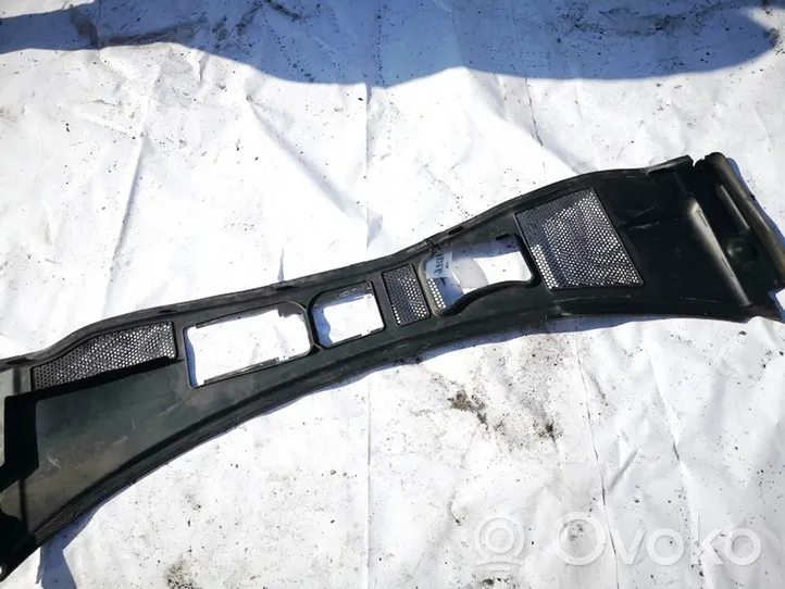 Volkswagen PASSAT B5.5 Wiper trim 3b1819417