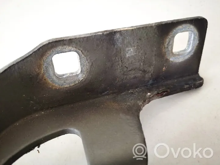 Opel Antara Cerniere del vano motore/cofano 