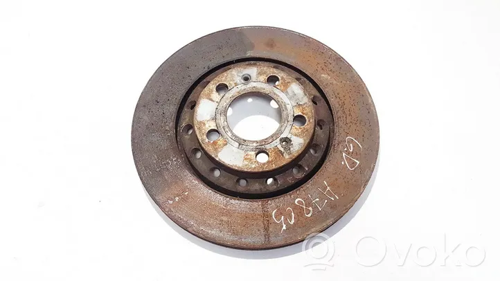 Volkswagen Phaeton Rear brake disc ventiliuojamas