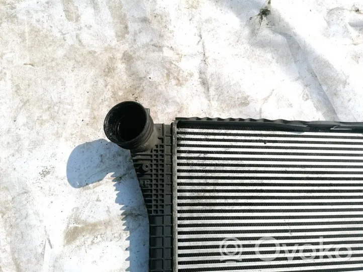 Volkswagen Golf V Radiatore intercooler 1K0145803L