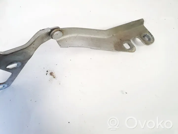 Opel Vectra C Cerniere del vano motore/cofano 24435368