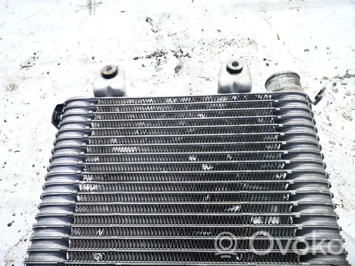 KIA Carnival Radiatore intercooler ok55313550