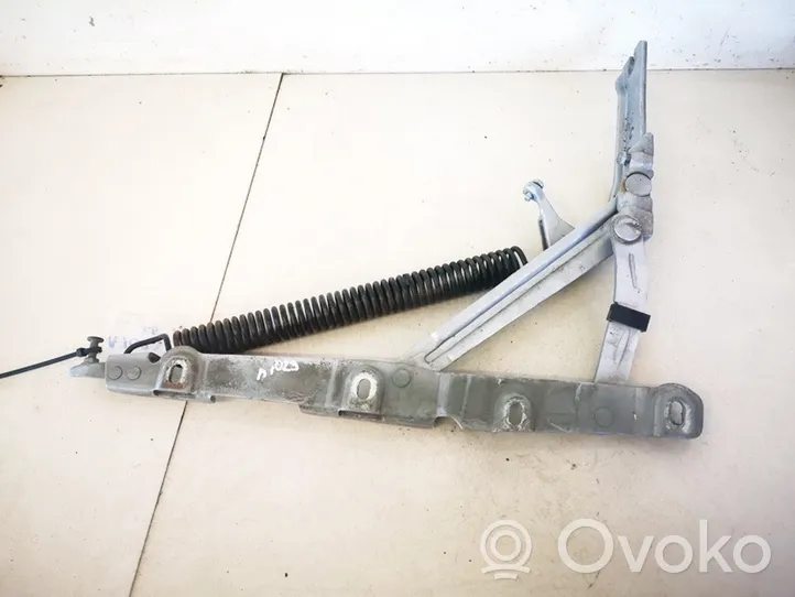 Mercedes-Benz S W220 Tailgate/trunk/boot hinge 