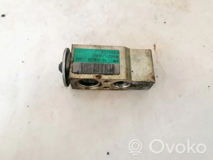 Renault Scenic I Valvola ad espansione dell’aria condizionata (A/C) 52162790