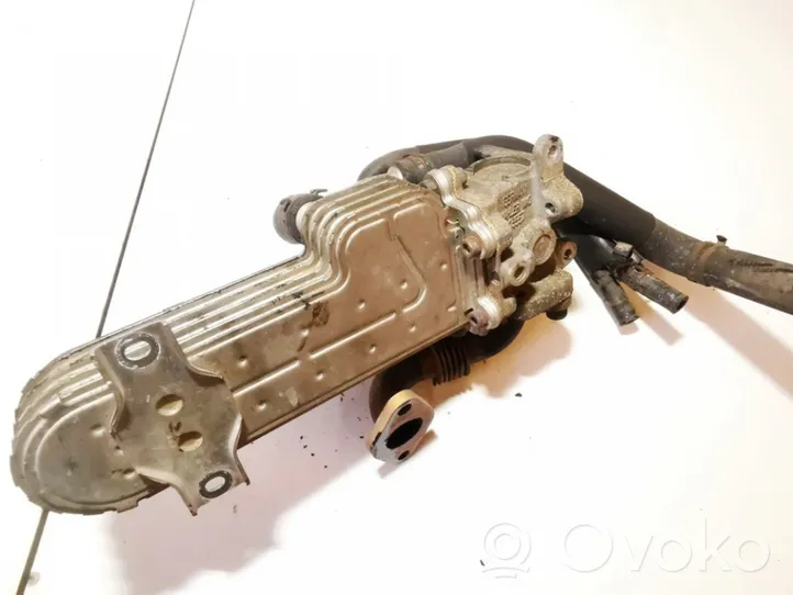 Audi A3 S3 8P EGR aušintuvas 03g131513