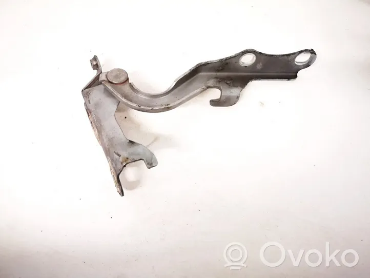 Toyota Corolla Verso E121 Engine bonnet/hood hinges 