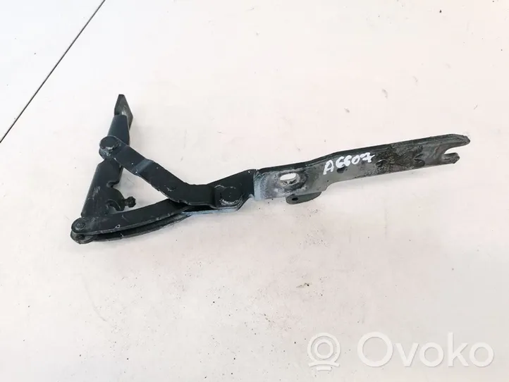 BMW 7 E65 E66 Cerniere del vano motore/cofano 8240334