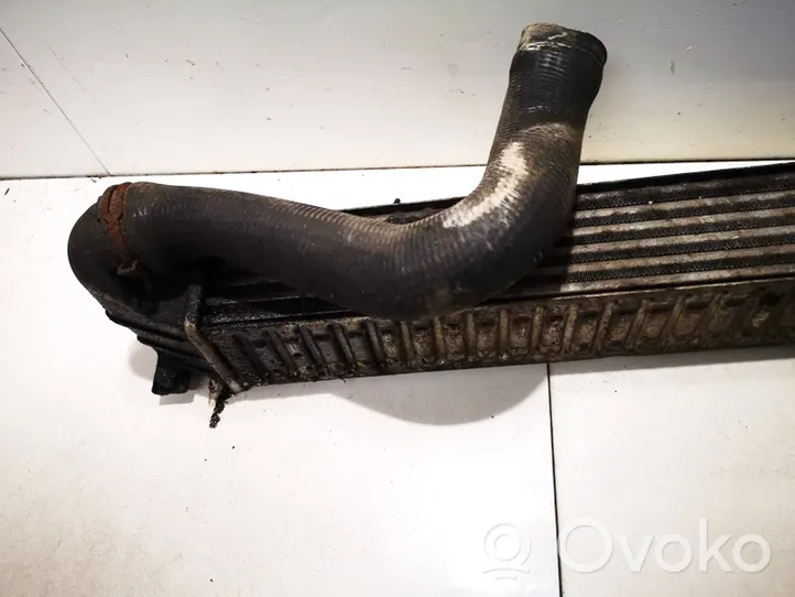 Seat Alhambra (Mk1) Starpdzesētāja radiators 7m3145805