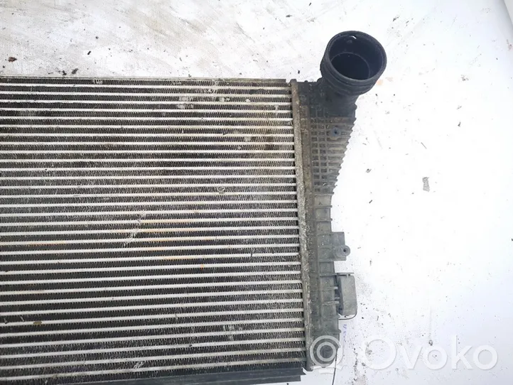 Volkswagen Golf V Chłodnica powietrza doładowującego / Intercooler 1k0145927