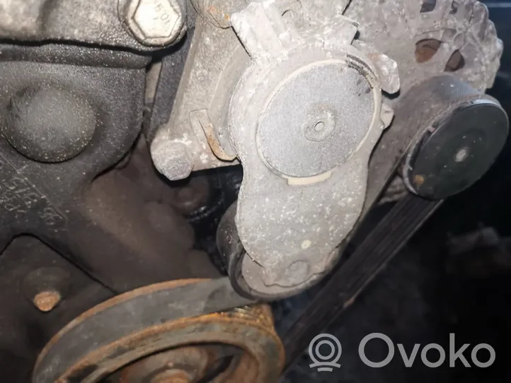 Citroen C2 Napinacz paska alternatora 