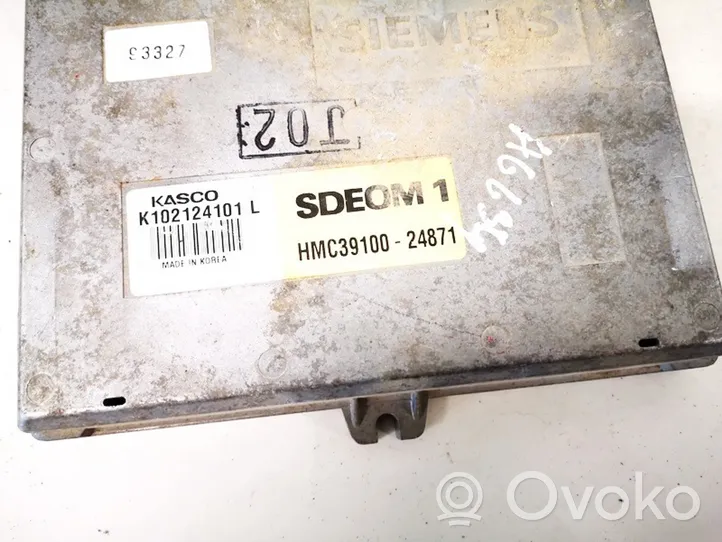 Hyundai Lantra I Calculateur moteur ECU hmc3910024871