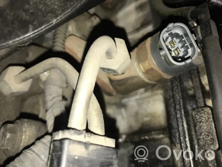 Peugeot 307 Injecteur de carburant 9641742880