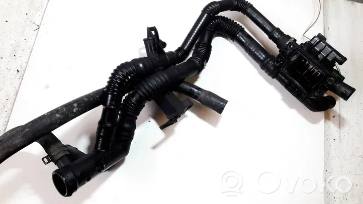 Ford Focus Engine coolant pipe/hose 9647768980