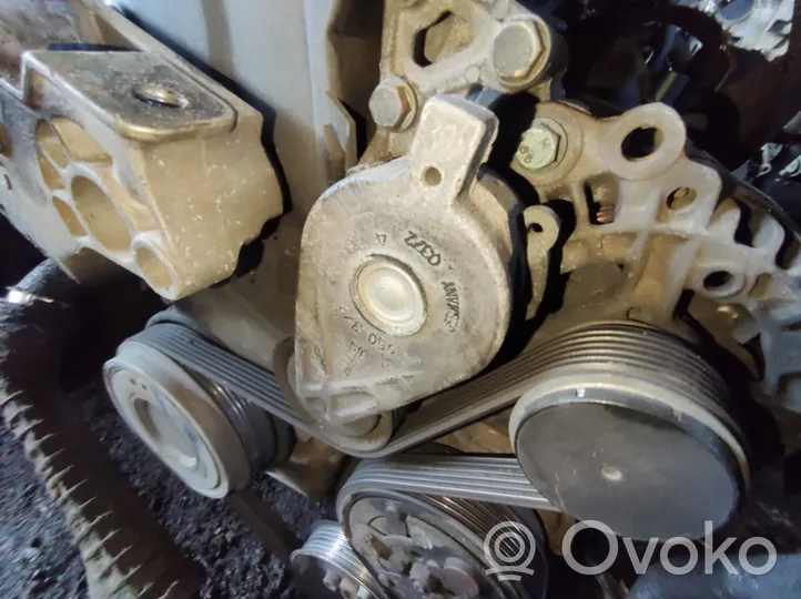 Volkswagen Bora Napinacz paska alternatora 950372