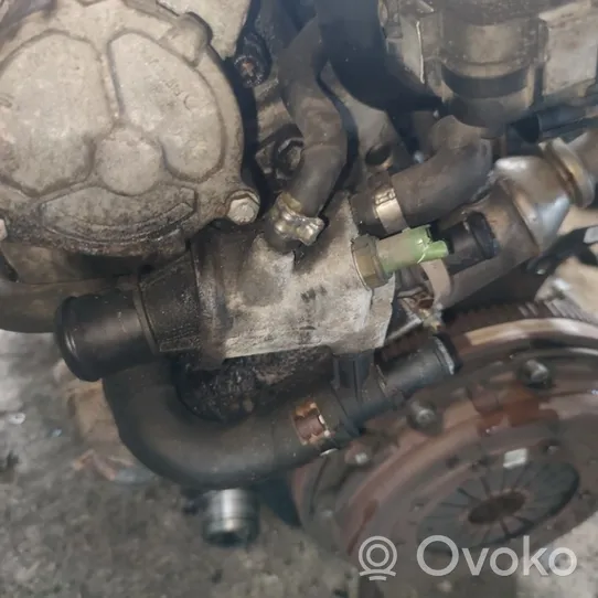 Fiat Bravo Engine coolant pipe/hose 