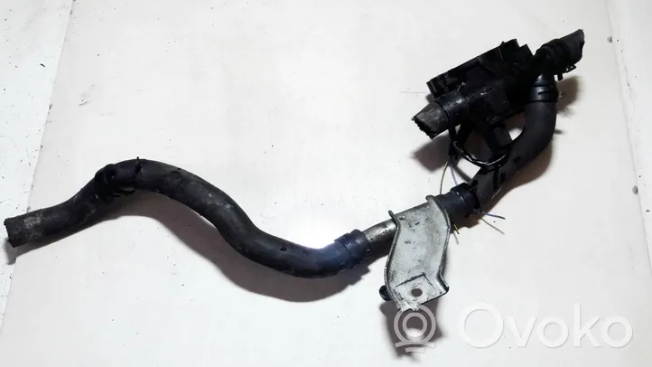 Nissan Qashqai+2 Tuyau de liquide de refroidissement moteur 8200801570