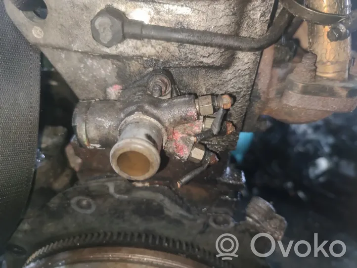 Audi A4 S4 B5 8D Tubo flessibile del liquido di raffreddamento del motore 