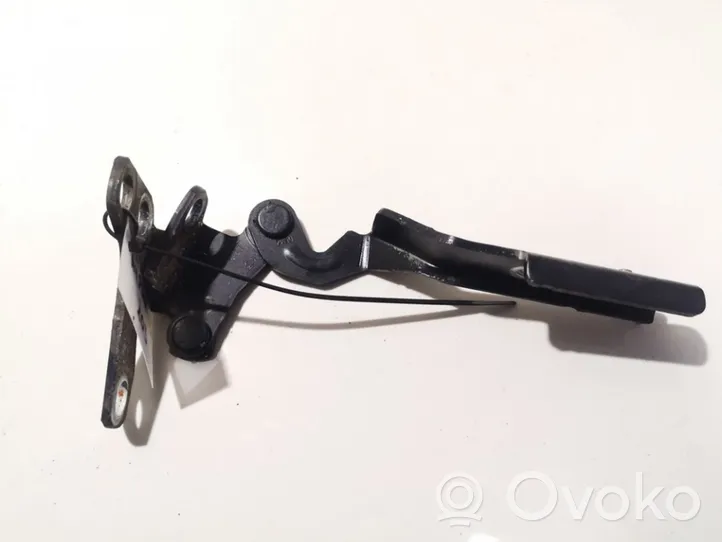 Citroen C5 Cerniere del vano motore/cofano 9633672380