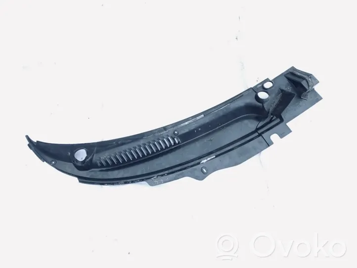 Chrysler 300M Wiper trim 04805015