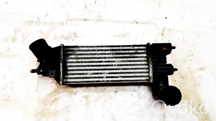 Opel Zafira B Intercooler radiator 