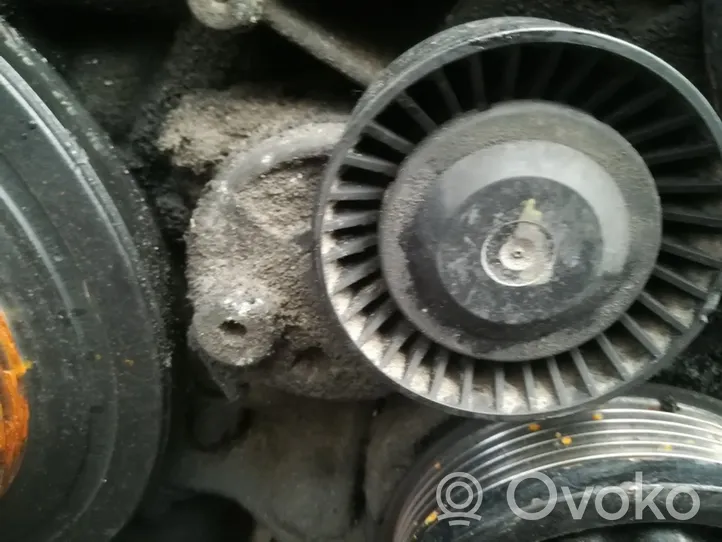 Mercedes-Benz S W220 Generator/alternator belt tensioner 