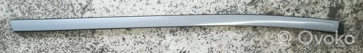 Volvo S60 Rivestimento modanatura del vetro della portiera posteriore 39992647