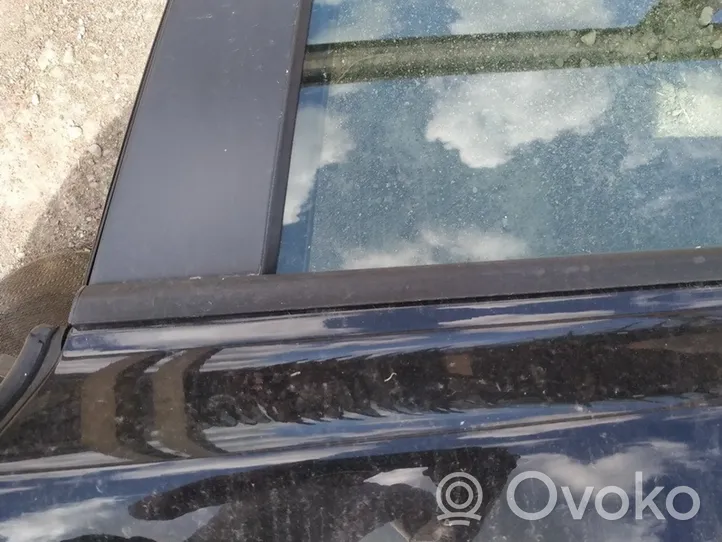 Volvo V50 Rear door glass trim molding 