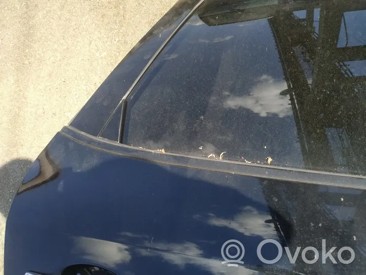 Nissan Murano Z50 Rivestimento modanatura del vetro della portiera posteriore 