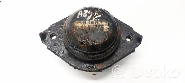 Mercedes-Benz ML W164 Support de moteur, coussinet A2512402917