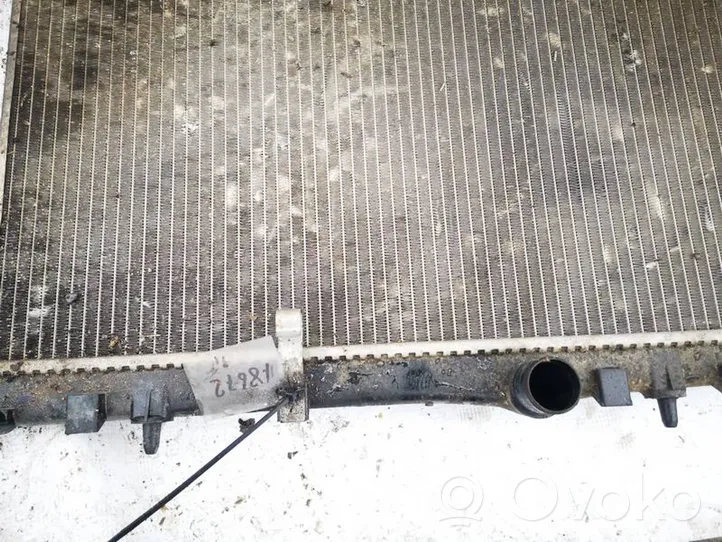 Peugeot 307 Coolant radiator 