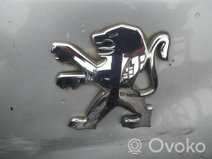 Peugeot 607 Valmistajan merkki/logo/tunnus 