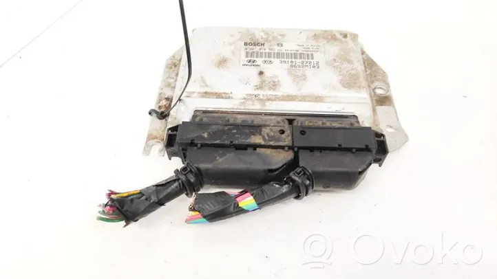 Hyundai Santa Fe Sterownik / Moduł ECU 3910127212