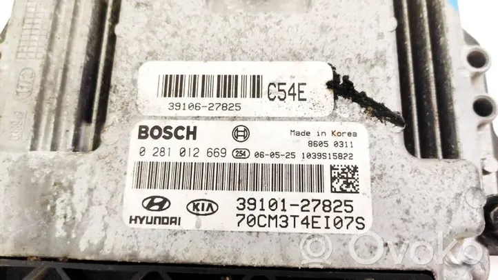 Hyundai Santa Fe Sterownik / Moduł ECU 3910127825