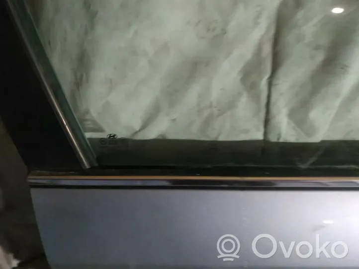 Hyundai Sonata Front door glass trim molding 