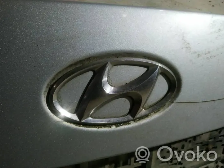 Hyundai Sonata Gamintojo ženkliukas 