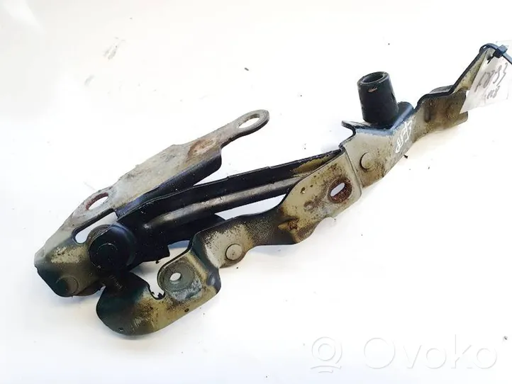 Chrysler Sebring (JS) Cerniere del vano motore/cofano 