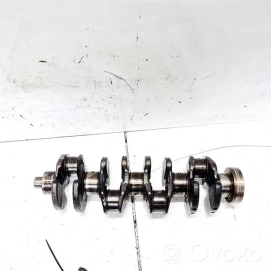 Ford Focus Crankshaft 