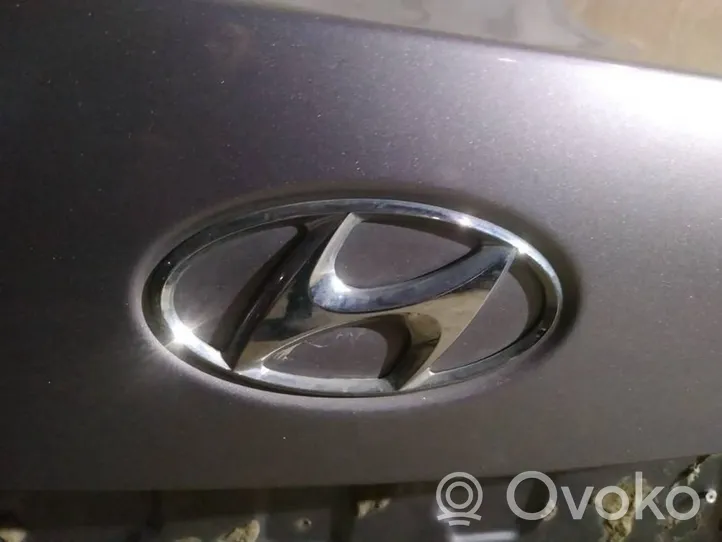 Hyundai Sonata Manufacturer badge logo/emblem 