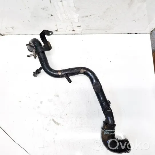 Volkswagen PASSAT B5.5 Engine coolant pipe/hose 