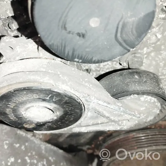 Audi A3 S3 8P Napinacz paska alternatora 487000