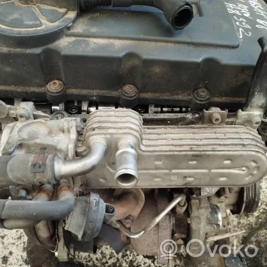 Volkswagen PASSAT B6 Chłodnica spalin EGR 03g131513j