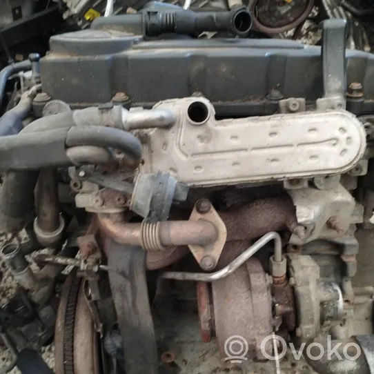 Volkswagen PASSAT B6 Chłodnica spalin EGR 03g131513j